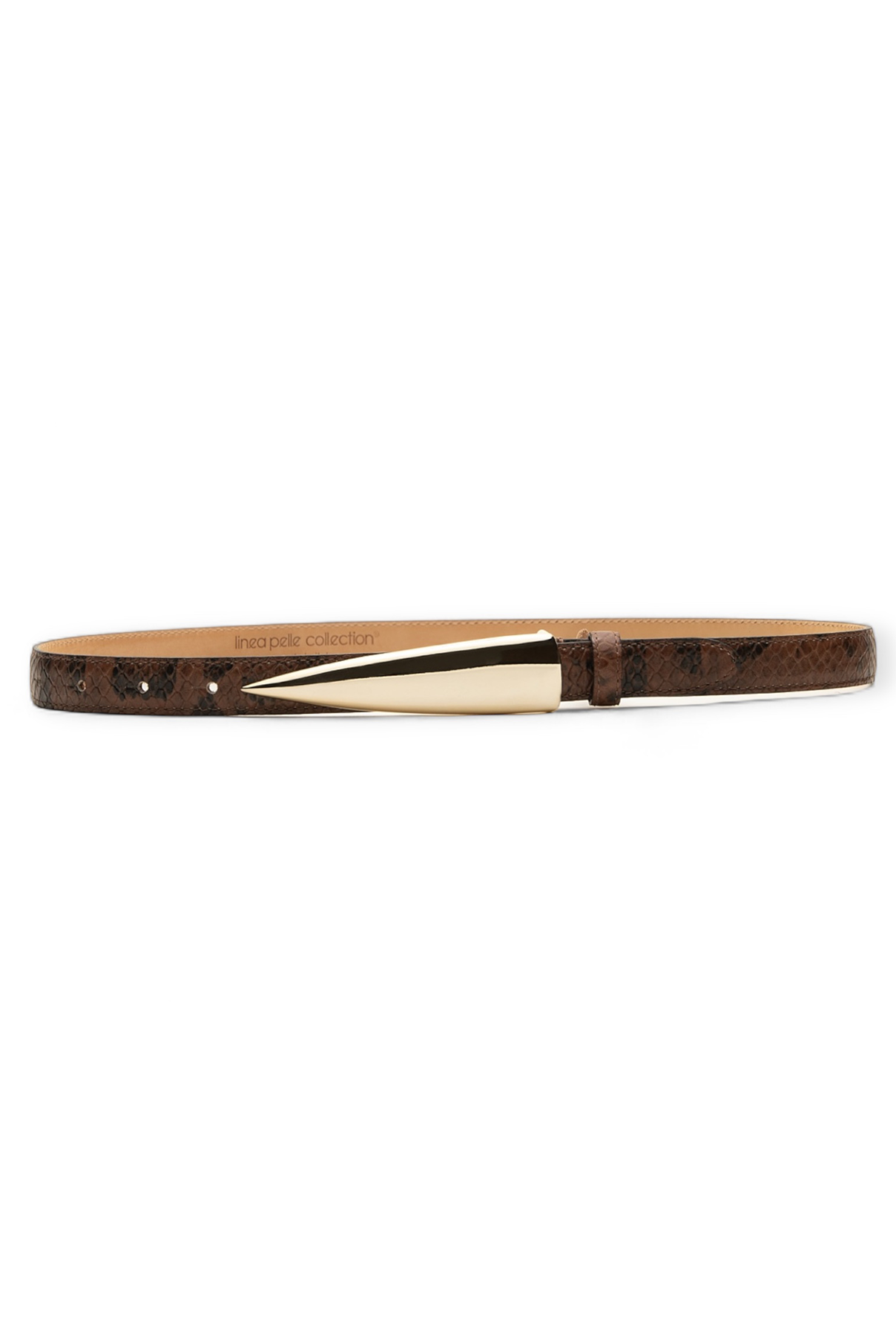Arlo/Brown Python