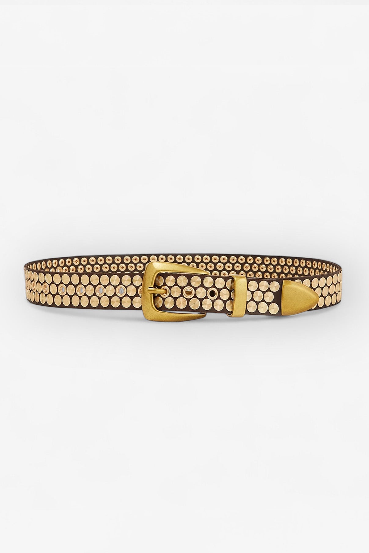 Colton dark brown studded leather belt displayed rolled to show buckle and detailing.