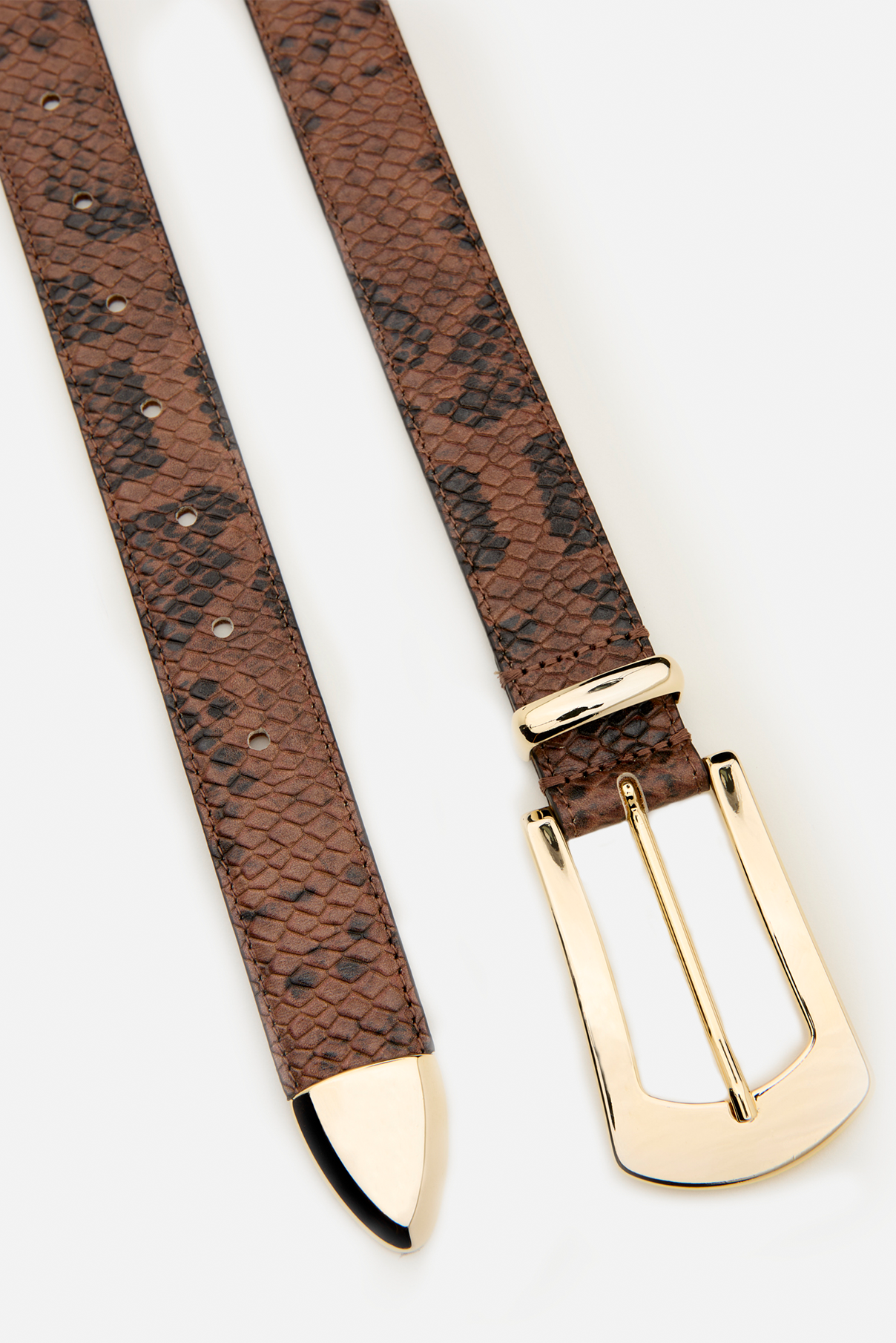 Flat lay of the Knox brown python embossed belt with polished gold buckle.