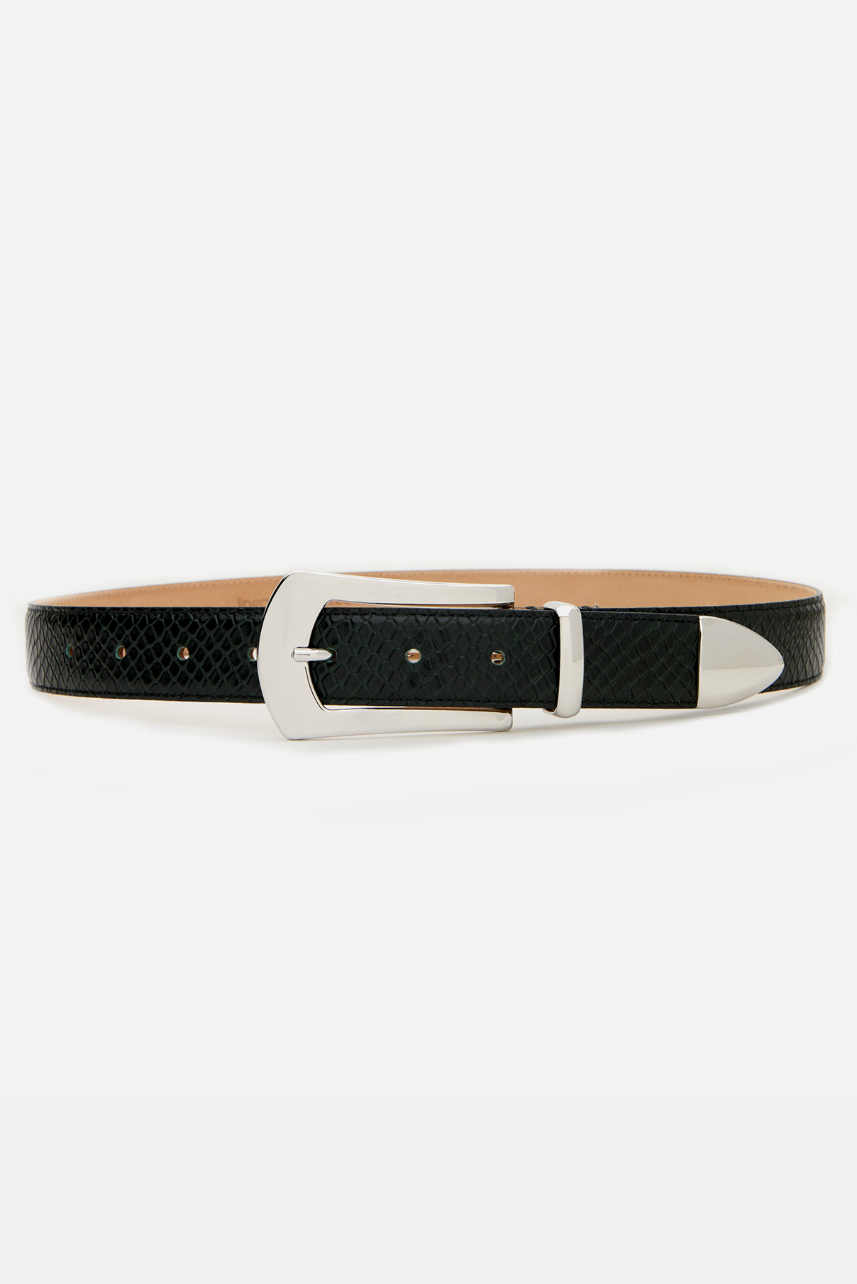 Knox hunter green python embossed leather belt displayed rolled to show silver hardware.