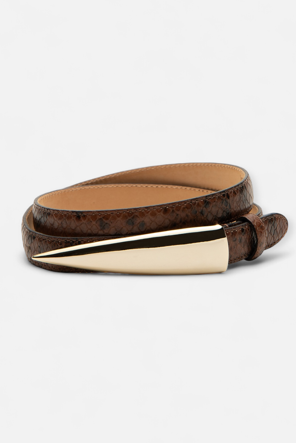 Arlo/Brown Python